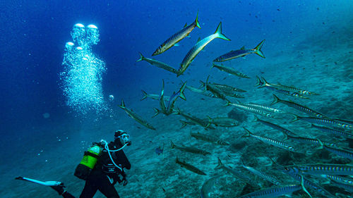 Scuba diving in sea