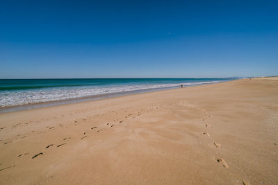 Scenic view of beach against clear blue sky