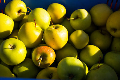 Full frame shot of apples