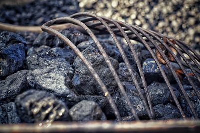 Close-up of crab on rock