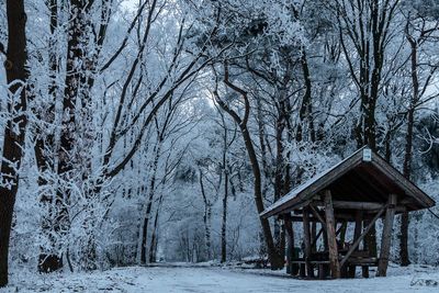 Snow covered trees and houses against sky during winter