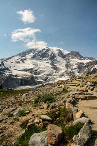 Mount rainier