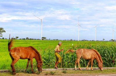 Man with horses on grass against sky