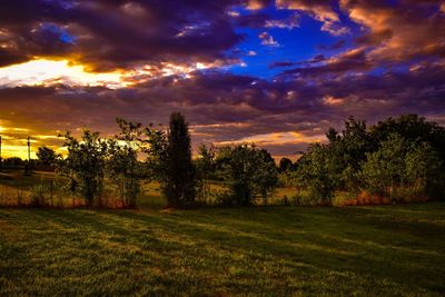 Trees on field against sky at sunset