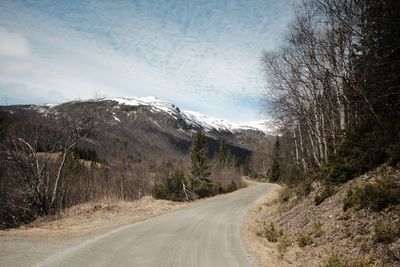 Road amidst trees against sky