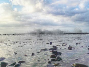 Scenic view of sea against sky
