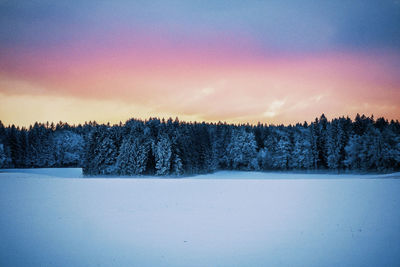 Scenic view of snow covered field against sky during sunset