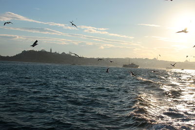 Seagulls flying over sea against sky