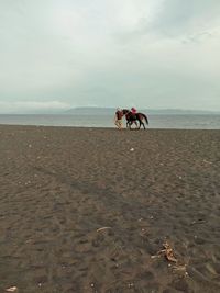 People riding horse on beach