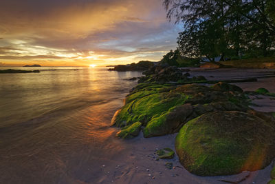 Scenic view of beach against sky during sunset