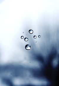 Close-up of water drops on leaf