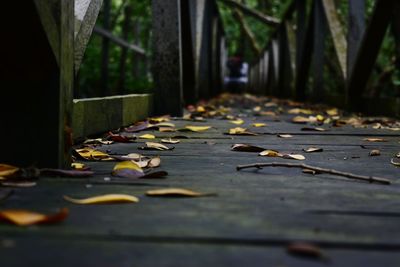 Surface level of messy wooden footbridge