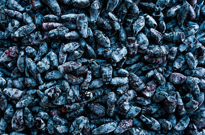 Full frame shot of fruit