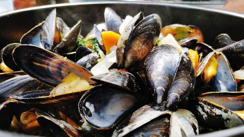 Close-up of fresh mussels on plate