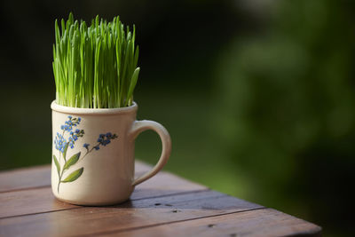 Close-up of tea served on table