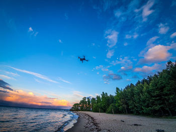 Airplane flying over trees against blue sky