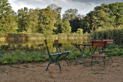 Chair on lake against trees