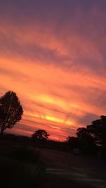 Silhouette trees against dramatic sky during sunset