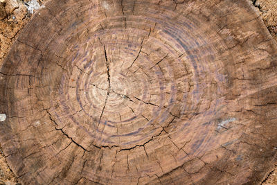 Cut wooden texture for background