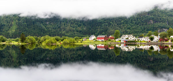 Reflection of trees in lake