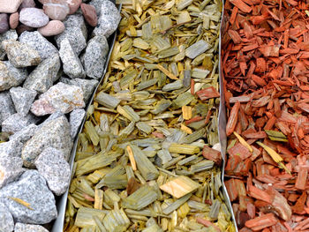 High angle view of vegetables on rock