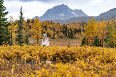 Walking through sunshine meadow during autumn's fall colours