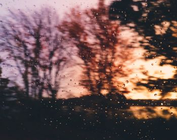 Close-up of water drops on glass