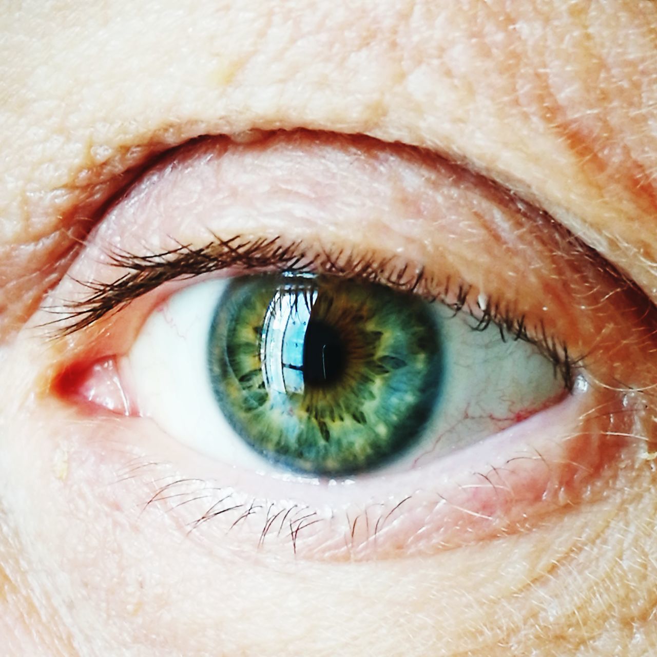 EXTREME CLOSE-UP OF EYE OF HUMAN FACE