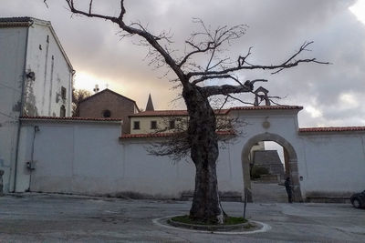 Bare tree and buildings against sky