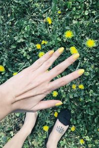 Close-up of hand holding flower