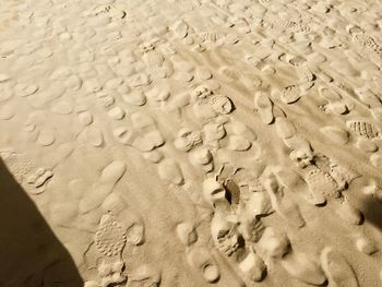 Footprints in sand on beach