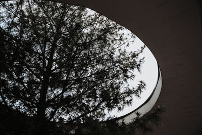 Low angle view of silhouette trees against sky