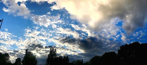 Low angle view of silhouette trees against blue sky