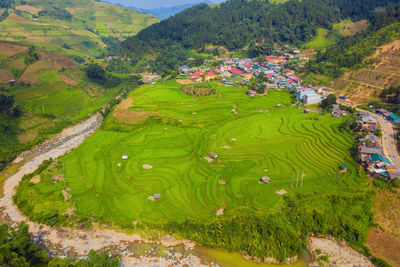 High angle view of agricultural field