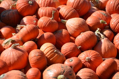 Full frame shot of pumpkins for sale at market stall