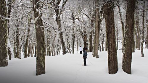 Man walking on snow covered tree