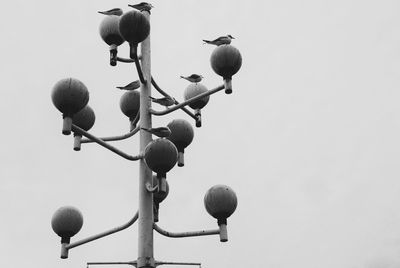 Low angle view of birds perching on light post against clear sky at meriken park
