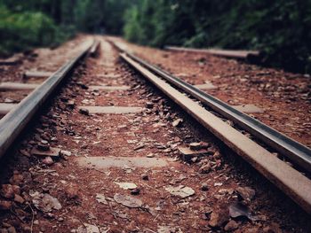 Railroad track amidst trees