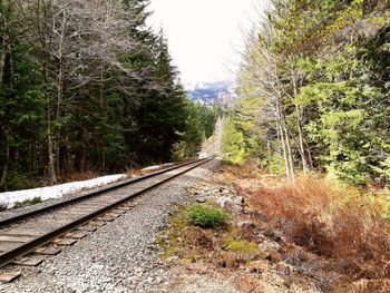 Railroad track amidst trees in forest against sky