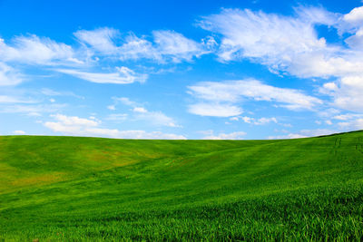 Scenic view of agricultural field against sky