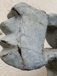 Close-up of rock