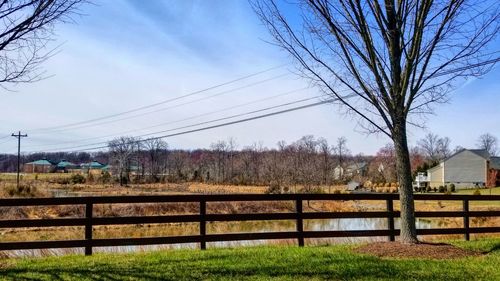 Bare trees on field against sky