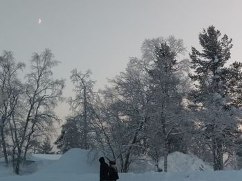 Trees on snow covered landscape against sky