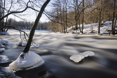 Snowy river through a forest in winter