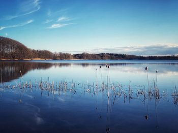 Scenic view of lake against blue sky