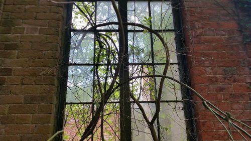 Close-up of window of abandoned building