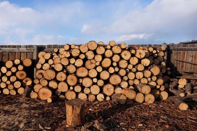 Stack of logs against sky