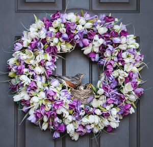 Nest with robin and her baby birds in it on a wreath of a front door.