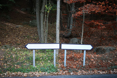 Information sign on tree trunk