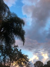 Low angle view of trees against cloudy sky